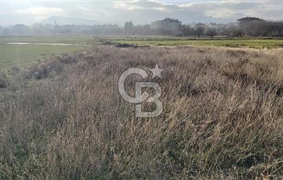 Afyon-Dazkırı Esentepe Mah.de 980 m² Konut İmarlı Satılık Arsa