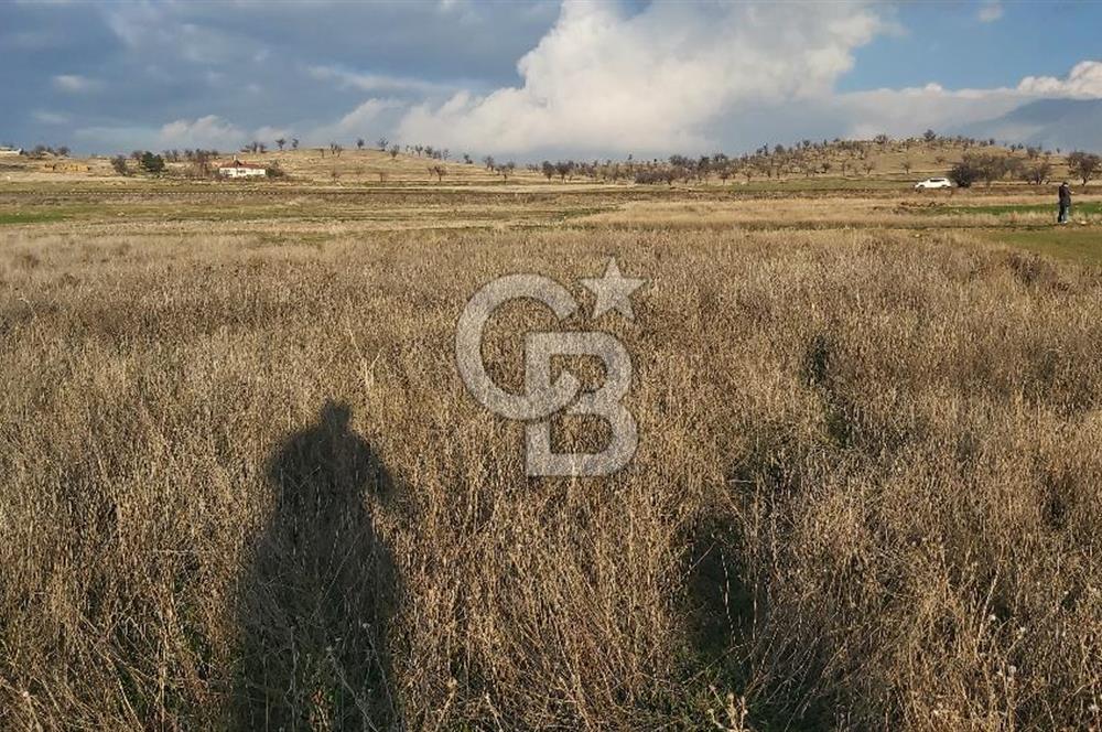 Afyon-Dazkırı Esentepe Mah.de 980 m² Konut İmarlı Satılık Arsa