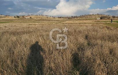 Afyon-Dazkırı Esentepe Mah.de 980 m² Konut İmarlı Satılık Arsa