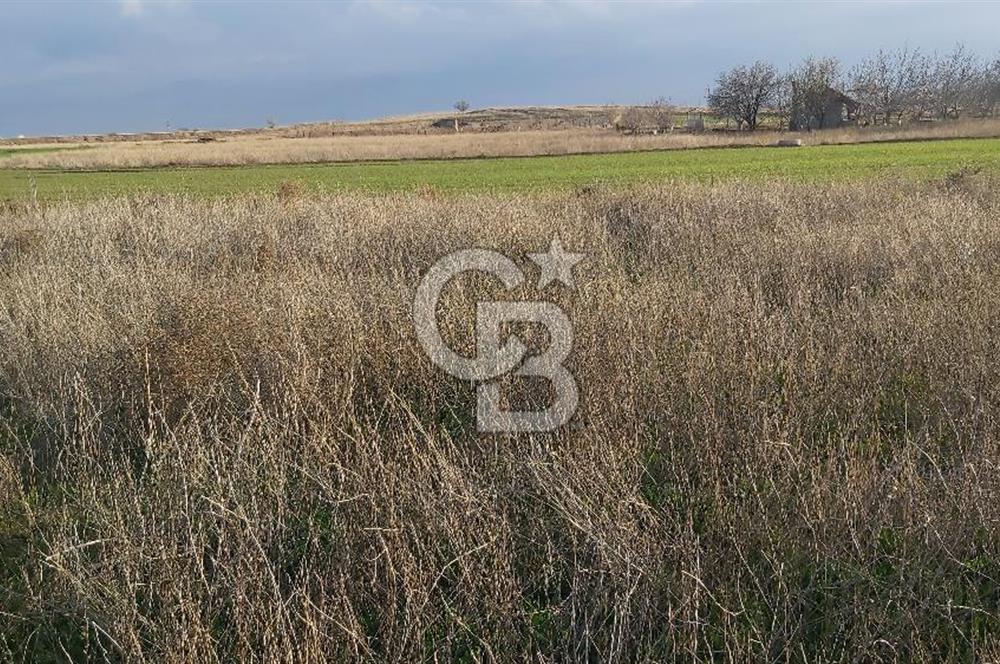 Afyon-Dazkırı Esentepe Mah.de 980 m² Konut İmarlı Satılık Arsa