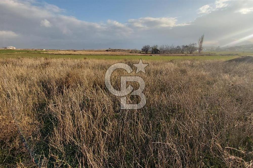 Afyon-Dazkırı Esentepe Mah.de 980 m² Konut İmarlı Satılık Arsa