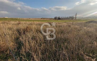 Afyon-Dazkırı Esentepe Mah.de 980 m² Konut İmarlı Satılık Arsa