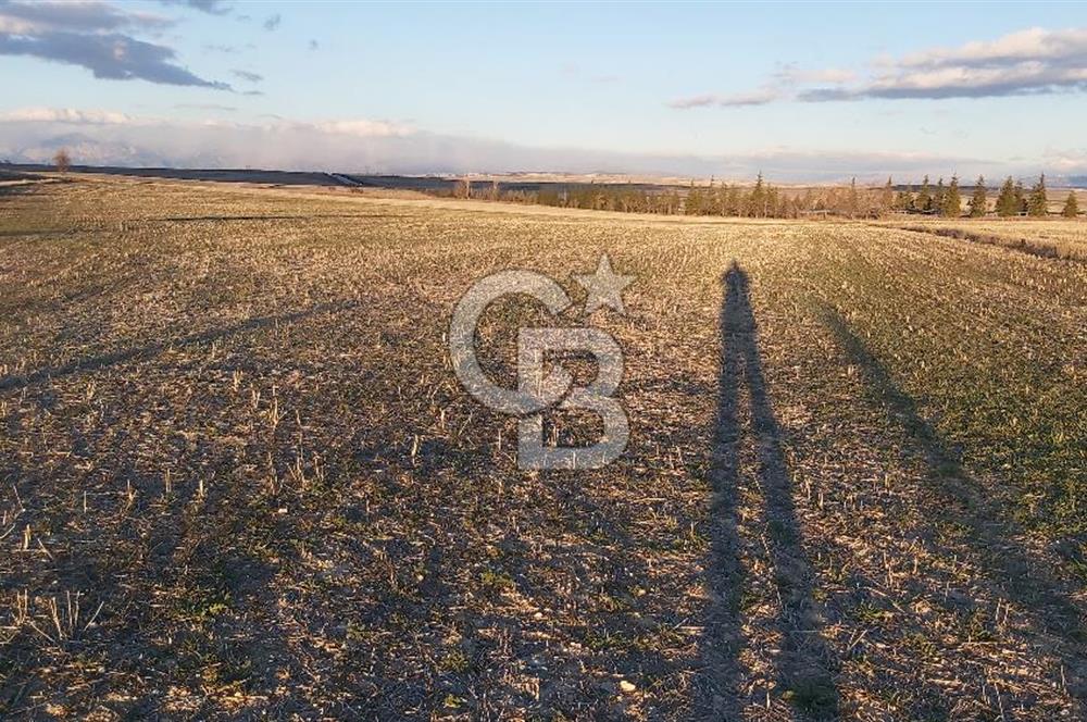 Afyon-Dazkırı Esentepe Mah.Kepezaltı Mevkiinde Ana Yola Yakın 8.327 m² Satılık Tarla