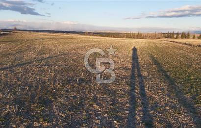Afyon-Dazkırı Esentepe Mah.Kepezaltı Mevkiinde Ana Yola Yakın 8.327 m² Satılık Tarla