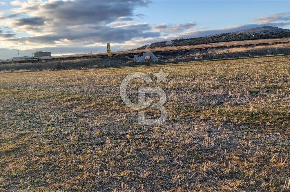 Afyon-Dazkırı Esentepe Mah.Kepezaltı Mevkiinde Ana Yola Yakın 8.327 m² Satılık Tarla