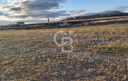 Afyon-Dazkırı Esentepe Mah.Kepezaltı Mevkiinde Ana Yola Yakın 8.327 m² Satılık Tarla