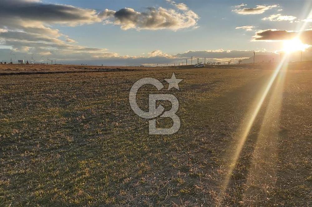 Afyon-Dazkırı Esentepe Mah.Kepezaltı Mevkiinde Ana Yola Yakın 8.327 m² Satılık Tarla