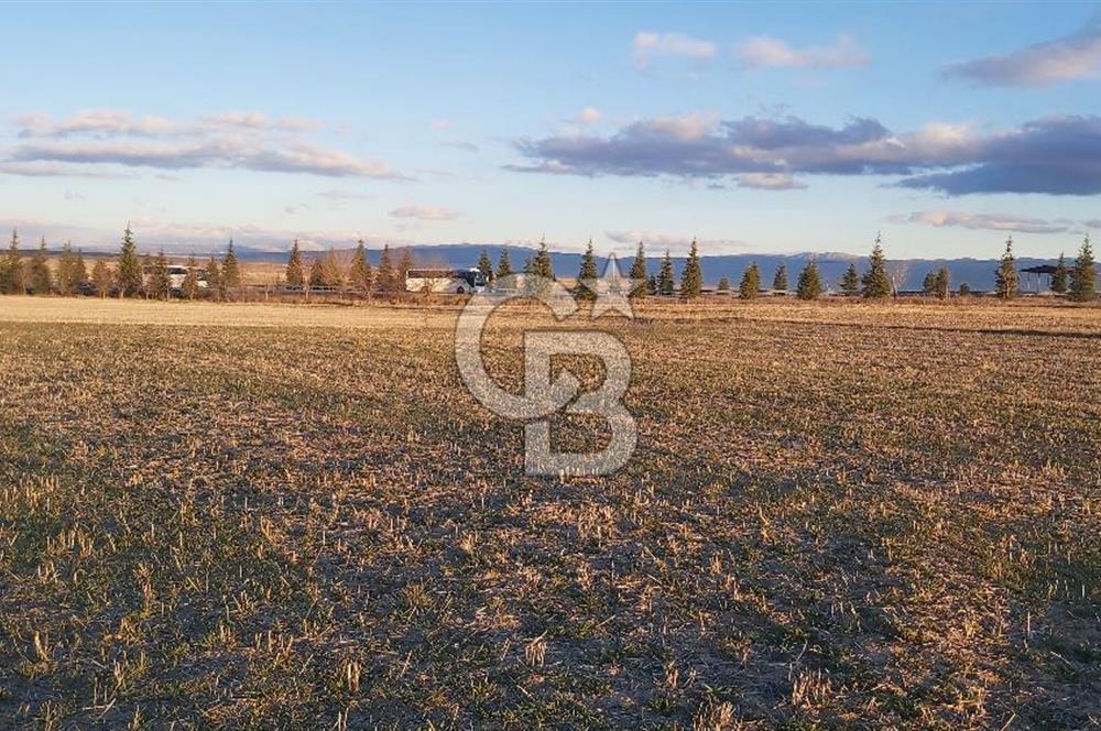 Afyon-Dazkırı Esentepe Mah.Kepezaltı Mevkiinde Ana Yola Yakın 8.327 m² Satılık Tarla