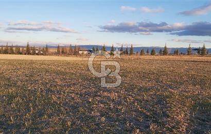 Afyon-Dazkırı Esentepe Mah.Kepezaltı Mevkiinde Ana Yola Yakın 8.327 m² Satılık Tarla