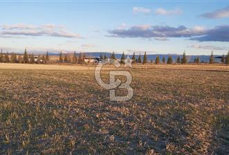 Afyon-Dazkırı Esentepe Mah.Kepezaltı Mevkiinde Ana Yola Yakın 8.327 m² Satılık Tarla - 9 - 325373