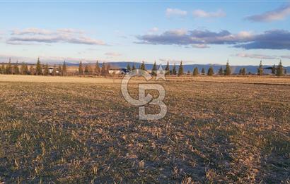 Afyon-Dazkırı Esentepe Mah.Kepezaltı Mevkiinde Ana Yola Yakın 8.327 m² Satılık Tarla