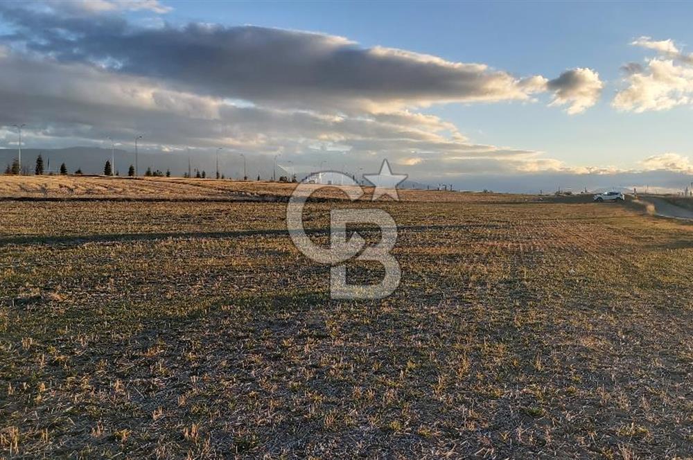 Afyon-Dazkırı Esentepe Mah.Kepezaltı Mevkiinde Ana Yola Yakın 8.327 m² Satılık Tarla