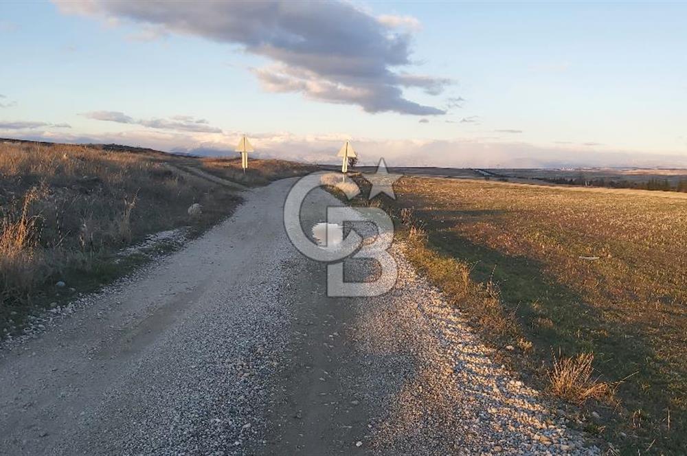 Afyon-Dazkırı Esentepe Mah.Kepezaltı Mevkiinde Ana Yola Yakın 8.327 m² Satılık Tarla