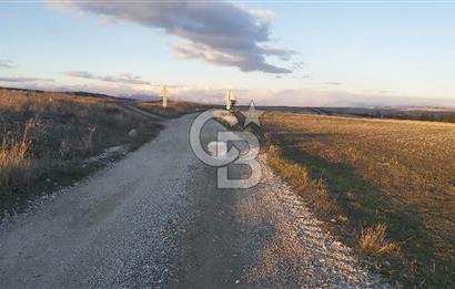 Afyon-Dazkırı Esentepe Mah.Kepezaltı Mevkiinde Ana Yola Yakın 8.327 m² Satılık Tarla