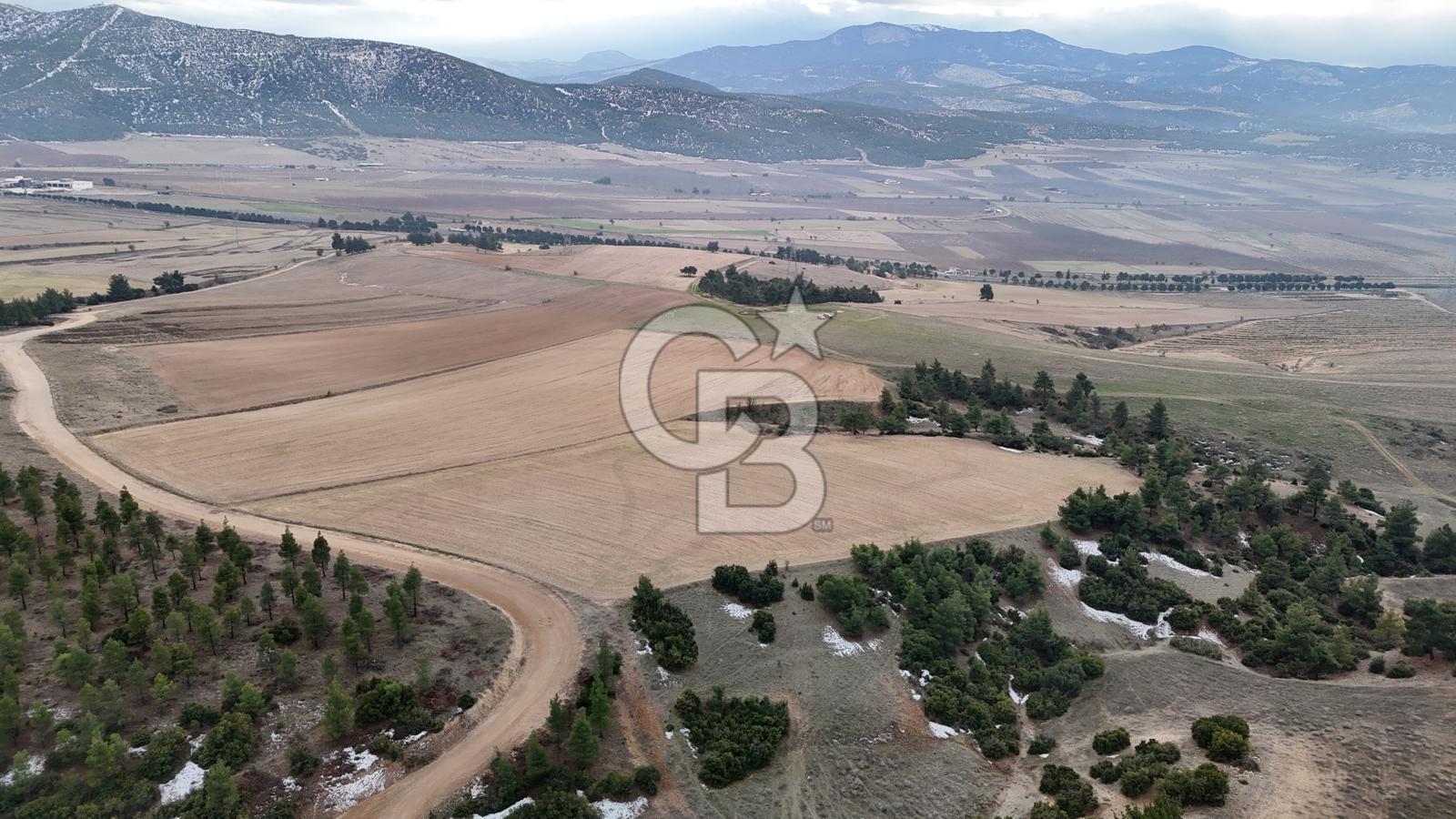 DENİZLİ BOZKURT SATILIK TARLA