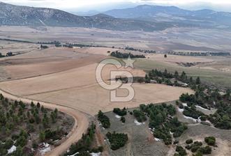 DENİZLİ BOZKURT SATILIK TARLA - 8 - 325352