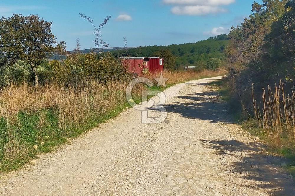 Bitişik 2 Parsel | Toplam ~15 Dönüm | Ana Yola Cepheli