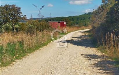 Bitişik 2 Parsel | Toplam ~15 Dönüm | Ana Yola Cepheli