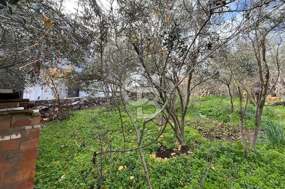 EVONA'DAN ÇAMLICA'DA SATILIK BAHÇELİ MÜSTAKİL EV