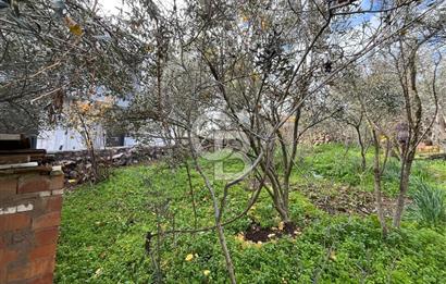 EVONA'DAN ÇAMLICA'DA SATILIK BAHÇELİ MÜSTAKİL EV