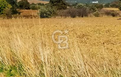 Bitişik 2 Parsel | Toplam ~15 Dönüm | Ana Yola Cepheli