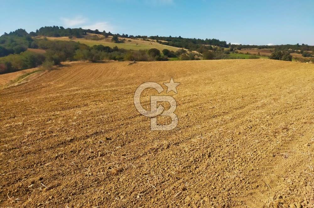 Bitişik 2 Parsel | Toplam ~15 Dönüm | Ana Yola Cepheli