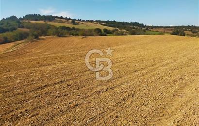 Bitişik 2 Parsel | Toplam ~15 Dönüm | Ana Yola Cepheli