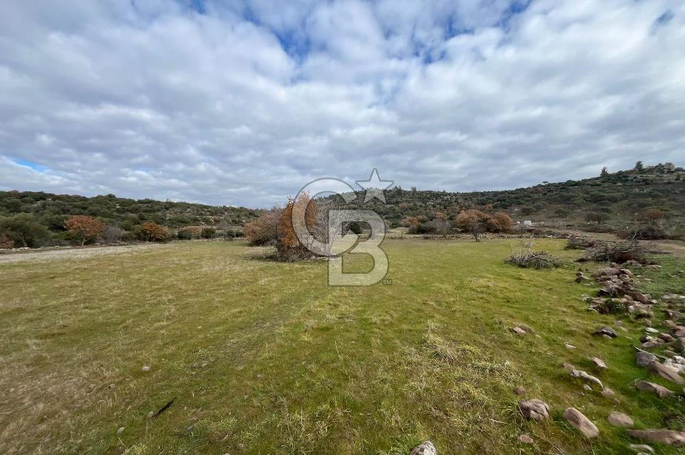 EVONA'DAN KARAKILIÇLI'DA SATILIK 16 DÖNÜM TARLA