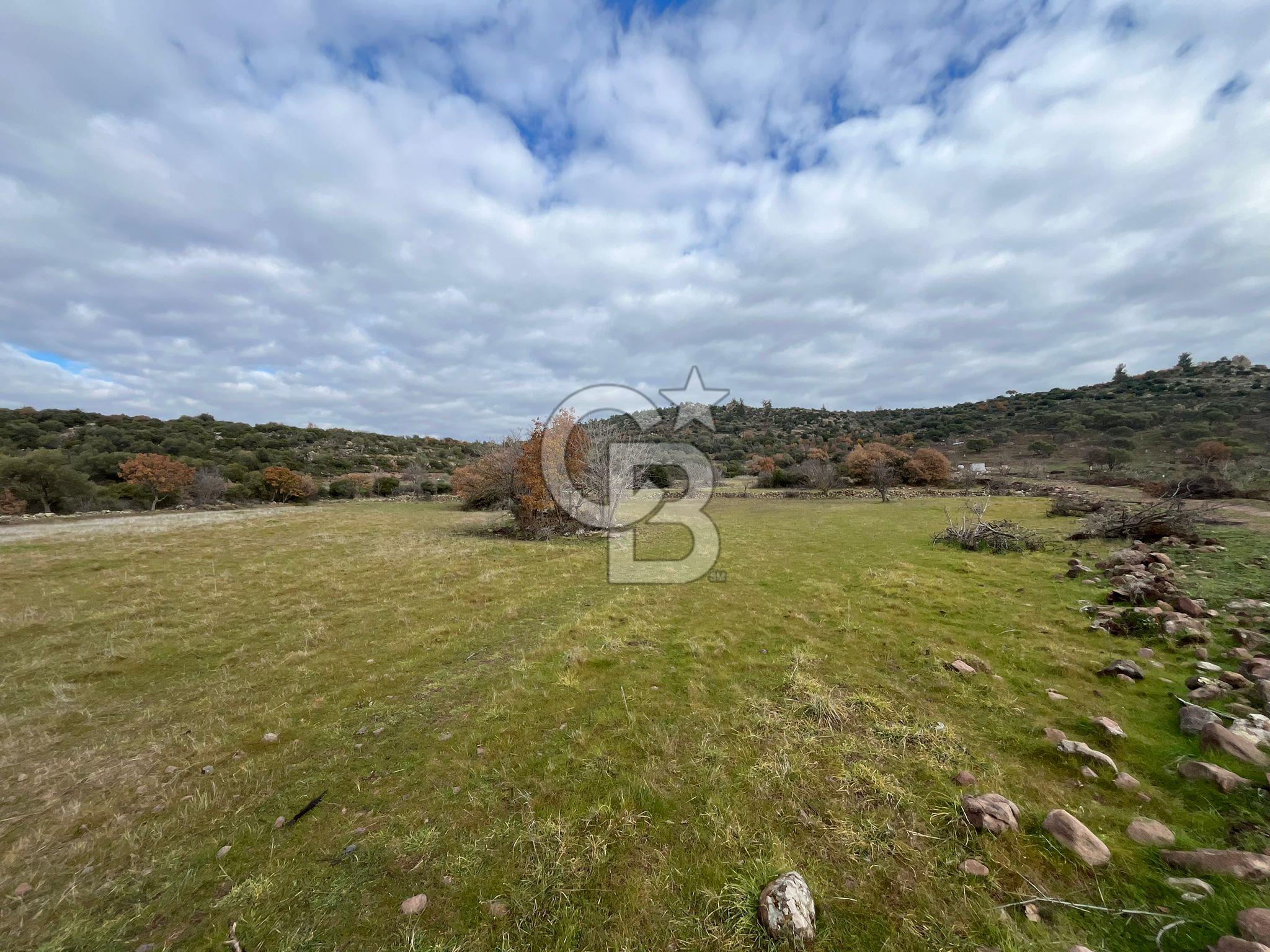 EVONA'DAN KARAKILIÇLI'DA SATILIK 16 DÖNÜM TARLA