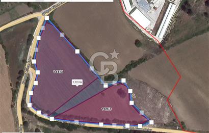 Bitişik 2 Parsel | Toplam ~15 Dönüm | Ana Yola Cepheli