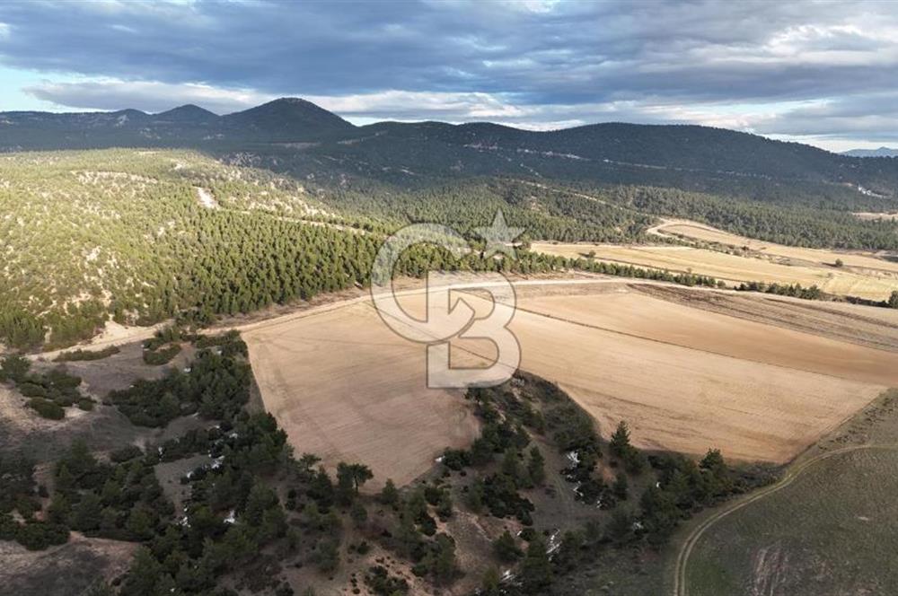 DENİZLİ BOZKURT SATILIK TARLA