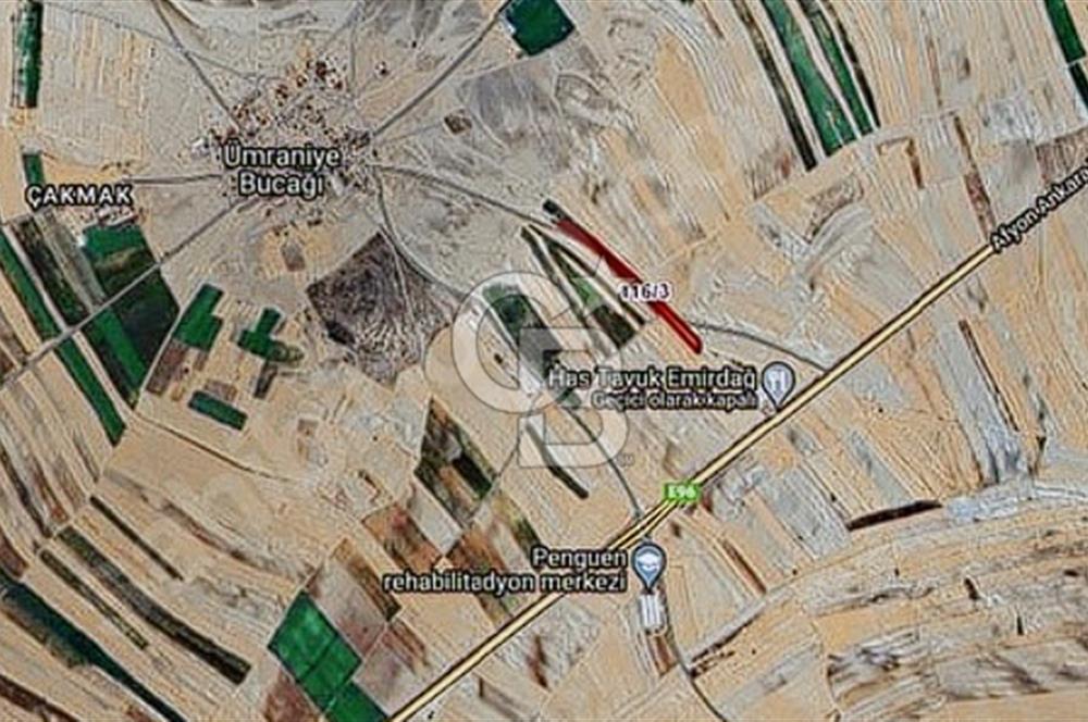 EMİRDAĞ ÜMRANİYEDE ANAYOLA 2. PARSEL 18 DÖNÜM ARAZİ