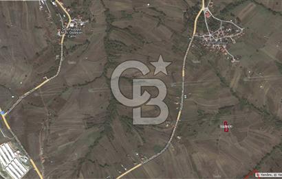 Kocaeli Kandıra'da 1004,51 m² Yatırıma Uygun Tarla