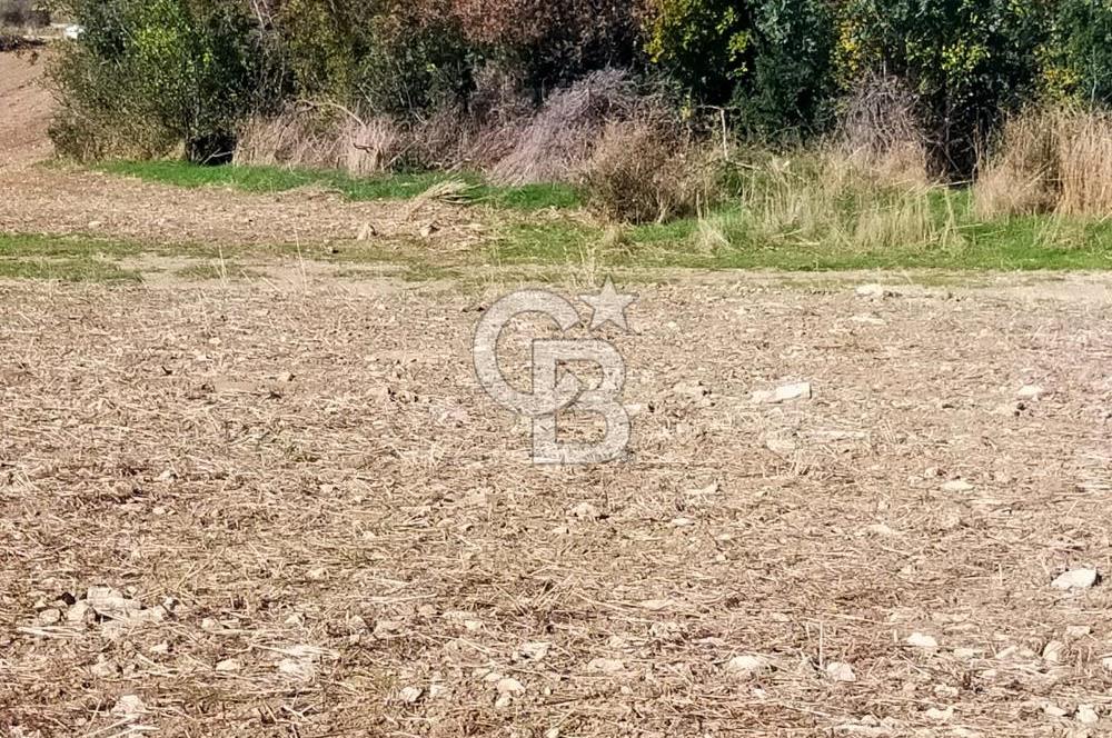 Bitişik 2 Parsel | Toplam ~15 Dönüm | Ana Yola Cepheli