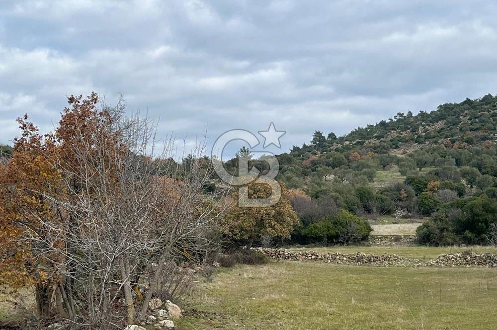 EVONA'DAN KARAKILIÇLI'DA SATILIK 16 DÖNÜM TARLA