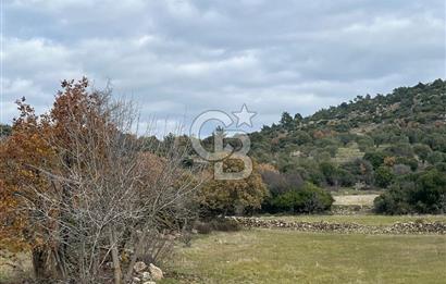 EVONA'DAN KARAKILIÇLI'DA SATILIK 16 DÖNÜM TARLA