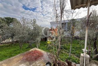 EVONA'DAN ÇAMLICA'DA SATILIK BAHÇELİ MÜSTAKİL EV - 7 - 325388