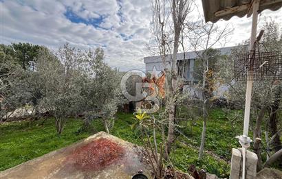 EVONA'DAN ÇAMLICA'DA SATILIK BAHÇELİ MÜSTAKİL EV