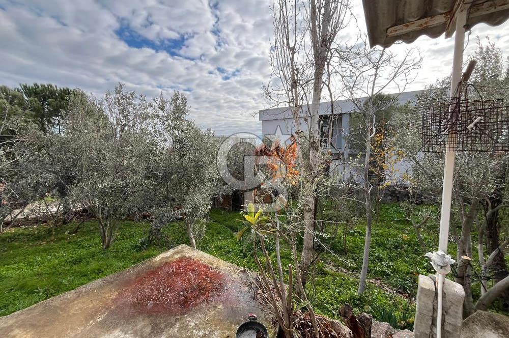 EVONA'DAN ÇAMLICA'DA SATILIK BAHÇELİ MÜSTAKİL EV