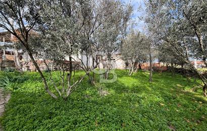 EVONA'DAN ÇAMLICA'DA SATILIK BAHÇELİ MÜSTAKİL EV