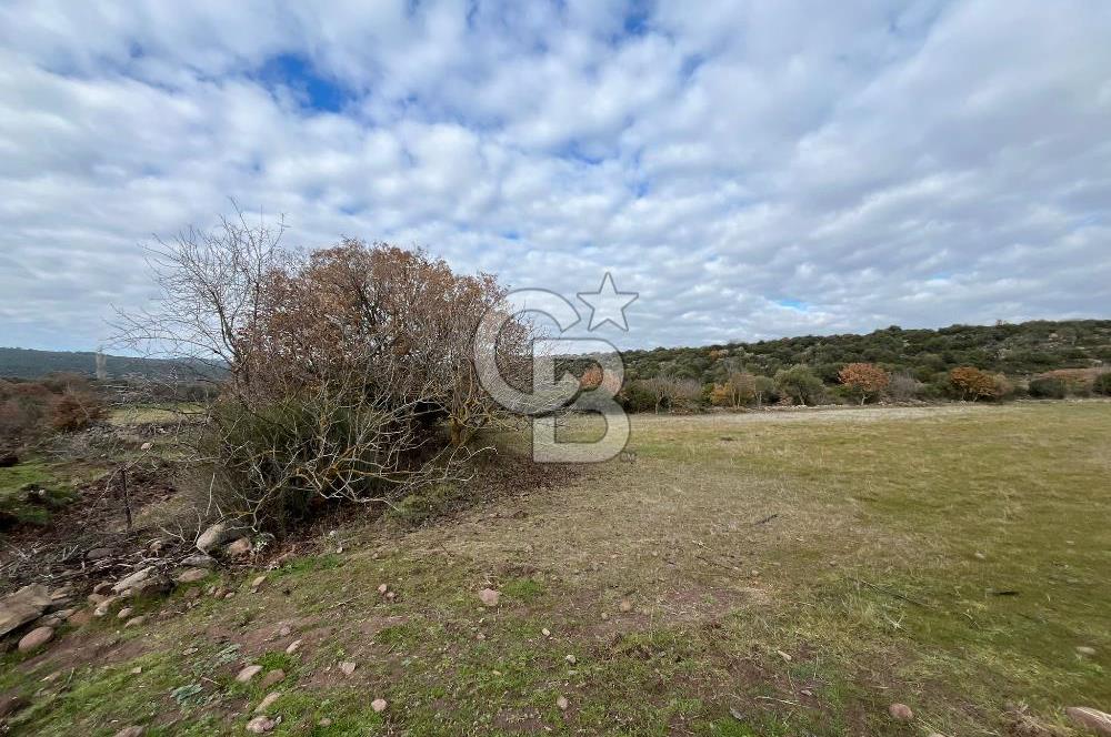 EVONA'DAN KARAKILIÇLI'DA SATILIK 16 DÖNÜM TARLA