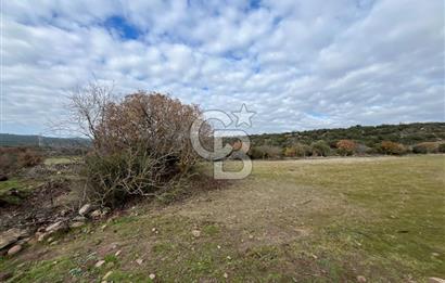 EVONA'DAN KARAKILIÇLI'DA SATILIK 16 DÖNÜM TARLA