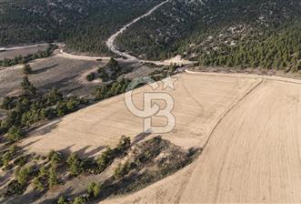 DENİZLİ BOZKURT SATILIK TARLA - 10 - 325350