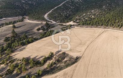 DENİZLİ BOZKURT SATILIK TARLA