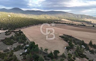 DENİZLİ BOZKURT SATILIK TARLA