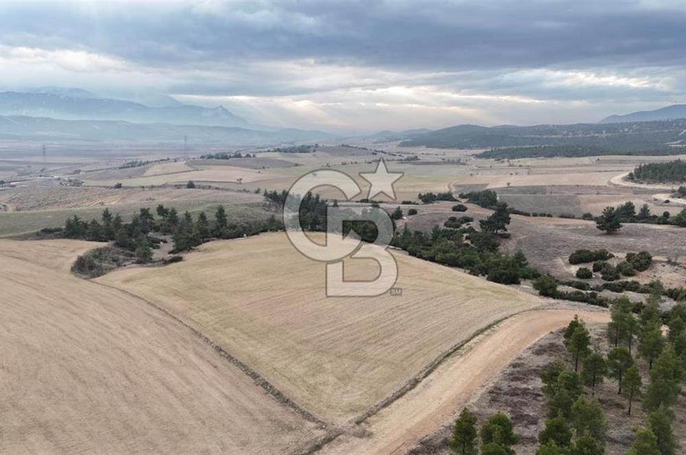 DENİZLİ BOZKURT SATILIK TARLA