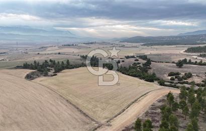 DENİZLİ BOZKURT SATILIK TARLA