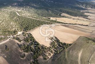 DENİZLİ BOZKURT SATILIK TARLA - 4 - 325347