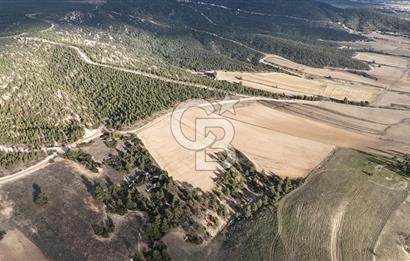 DENİZLİ BOZKURT SATILIK TARLA