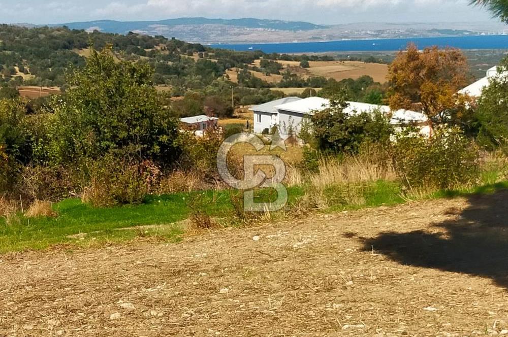 Bitişik 2 Parsel | Toplam ~15 Dönüm | Ana Yola Cepheli